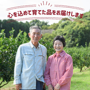 ＜令和7年産＞ひのひかり 玄米 (計10kg・5kg×2P) お米 ごはん ご飯【107101403】【あいはな農園】