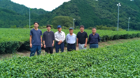 産地直送　関西品評会　農林水産大臣賞　記念銘茶　3本入【2-183】