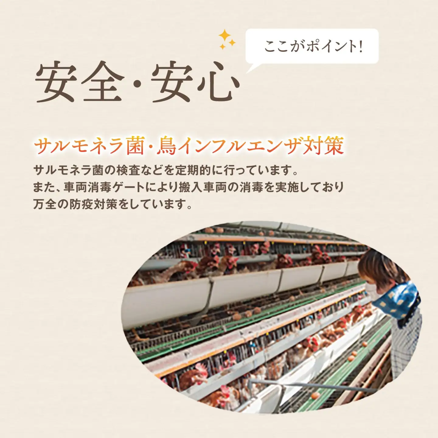 厳選された飼料と鈴鹿山麓の銘水で育った、美味しい卵「きららの里」を新鮮な状態でお届けします。30個（27個＋卵割れ保障3個）【たまご 卵 きららのさと きららの里 30個 おいしい 濃厚 玉子 玉子焼き 卵焼き たまごかけご飯 ゆでたまご 生卵 鶏卵 四日市 日用品 国産 純国産 鶏 ミネラル 赤玉】