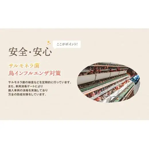 厳選された飼料と鈴鹿山麓の銘水で育った、美味しい卵「きららの里」を新鮮な状態でお届けします。50個（45個＋卵割れ保障5個）【たまご 卵 きららのさと きららの里 50個 おいしい 濃厚 玉子 玉子焼き 卵焼き たまごかけご飯 ゆでたまご 生卵 鶏卵 四日市 日用品 国産 純国産 鶏 ミネラル 赤玉】