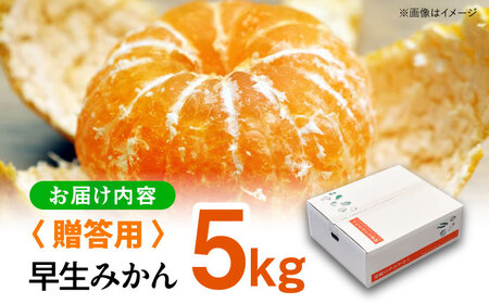 みかん 5kg （早生）【贈答】 温州みかん [AGAR008]