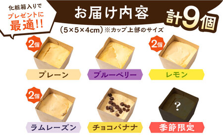 【種類豊富な詰め合わせスイーツ】チーズケーキ 6種 9個セット / ベイクドチーズケーキ スイーツ ちーずけーき おしゃれ お菓子 贈り物 おやつ ギフト お取り寄せ 人気 誕生日 個包装 / 南島原市 / Hand Made Cake WISSH [SCF002]
