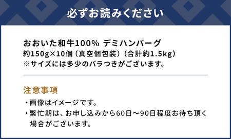 デミハンバーグ おおいた和牛 100%  約150g×10個 計約1.5kg | ハンバーグ 津久見市