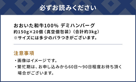 デミハンバーグ おおいた和牛100% デミ ハンバーグ 約150g×20個 計約3kg | 津久見市