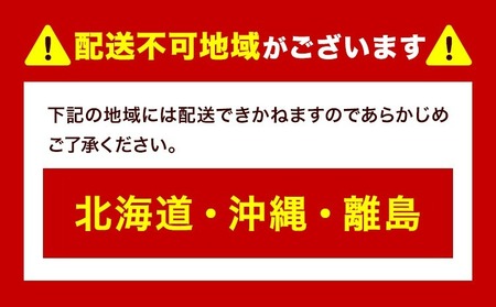 【2026年発送】プレミアム シャインマスカット 船穂 赤秀品 晴王 600g 晴レ乃青果　(岡山中央卸売市場店(富士紙工 有限会社))  