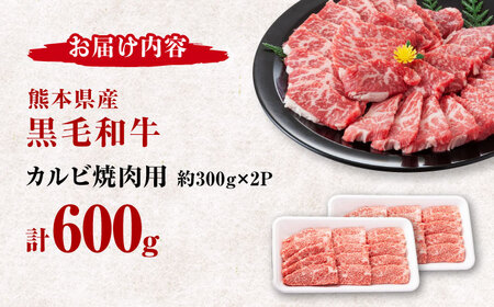 熊本県産 黒毛和牛 カルビ 焼肉用 約600g(約300g×2pc)【有限会社 九州食肉産業】[ZDQ153]