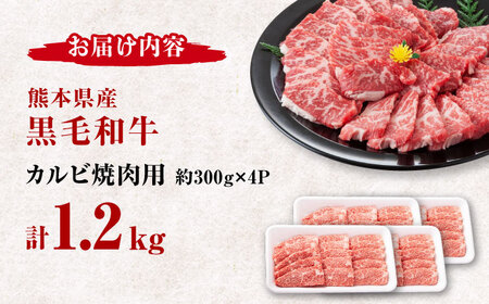 熊本県産 黒毛和牛 カルビ 焼肉用 約1.2kg(約300g×4pc)【有限会社 九州食肉産業】[ZDQ154]