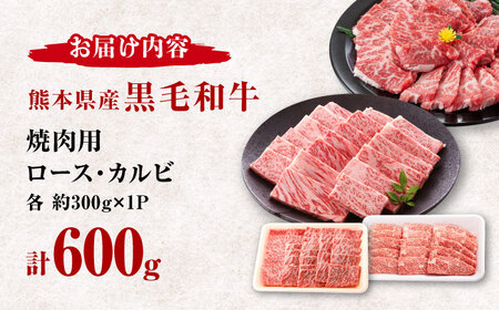 熊本県産 黒毛和牛 ロース・カルビ焼肉用 食べ比べ 約600g(各約300g)【有限会社 九州食肉産業】[ZDQ155]