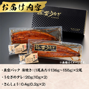 鹿児島県産 うなぎ 蒲焼 (1尾あたり136g～155g×2尾、タレ・山椒付き)【西日本養鰻】A582
