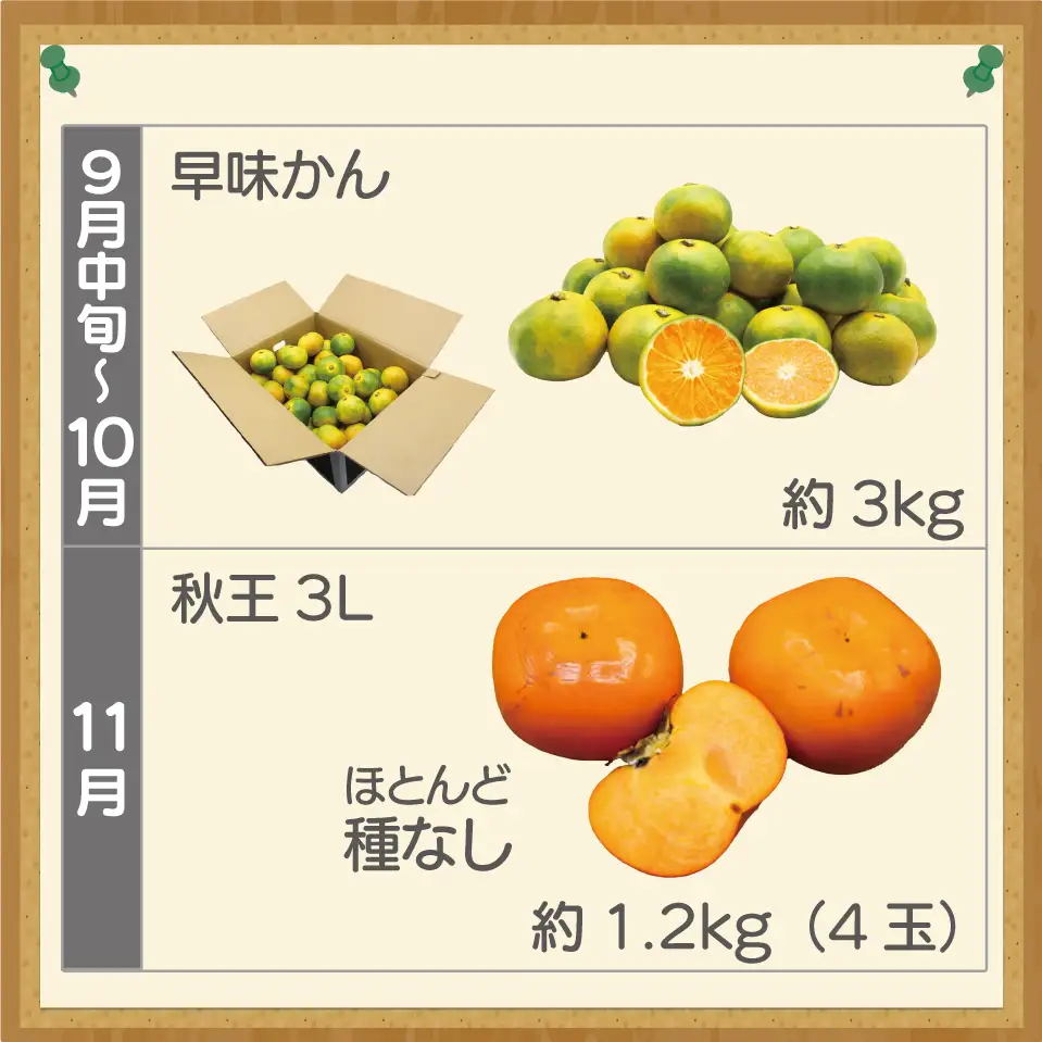 【定期便】宮若市旬のフルーツ定期便【全４回】 ブランド いちご ぶどう みかん 柿 大人気 NO1 限定品 高級 フルーツ 果物 くだもの 特別 冷蔵 プレゼント 九州 福岡 宮若市 ふるさと納税 おすすめ 送料無料 M763