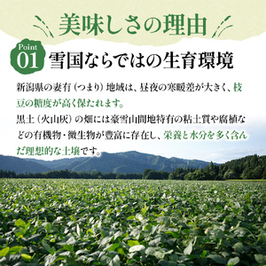 【令和8年産】 つまりちゃまめ 900g（300g×3袋） 茶豆 枝豆 えだまめ 豆 野菜 新潟 十日町市