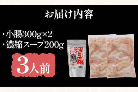 訳あり 博多もつ鍋 醤油味 もつ ホルモン 小腸 鍋セット もつ鍋 モツ鍋 鍋 内臓肉 3人前 牛 国産牛 モツ お土産 美味しい 福岡県 グルメ お取り寄せ 牛もつ
