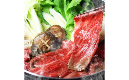 博多名物Aセット 「明太醤油もつ鍋」と「博多和牛スライス」 [ABDF179] 