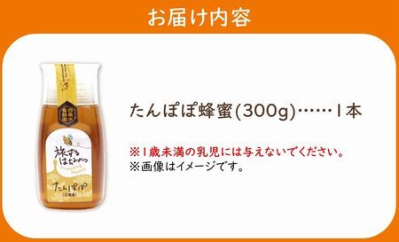 旅するはちみつ300g【たんぽぽ蜂蜜】【1186190】