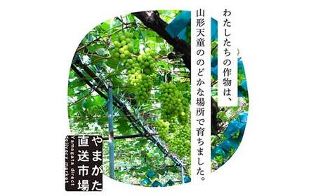 【先行受付 令和8年度発送】大粒もぎたてシャインマスカット2房 1.2kg程度 ギフト箱入り FSY-2030