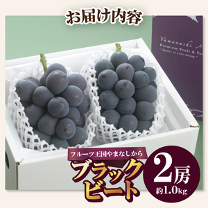 【ふるなび限定】〈2026年度配送分〉ブラックビート 2房（約1.0kg）　FN-Limited-SP