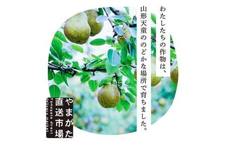 【先行受付（令和8年度発送）】食べ頃 山形特選ラ・フランス3kg FSY-2031