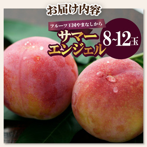 【ふるなび限定】〈2026年度配送分〉★希少品種★サマーエンジェル 8～12玉　FN-Limited-SP