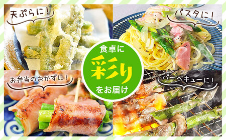 【先行予約】いっちゃんファームの アスパラ 1kg 熊本 | アスパラ