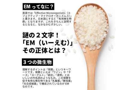 【EM栽培米・白米】宮城県栗原市産 つや姫 5kg