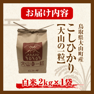 【令和8年10月以降発送新米】MS-96　大山町産こしひかり【大山の一粒】２ｋｇ（白米）