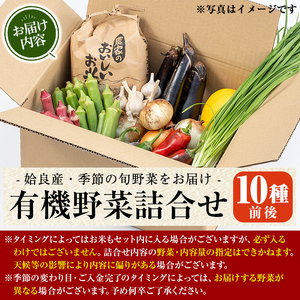 a967 姶良産 有機野菜の詰合せセット(10種前後)【今村農園】姶良市 国産 鹿児島県 野菜 やさい 旬 有機栽培 詰め合わせ 春 夏 秋 冬 季節