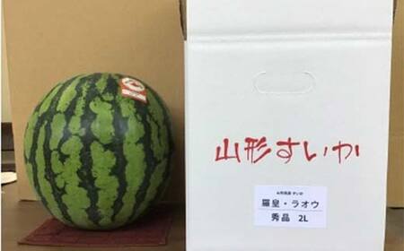 《2026年先行予約》 山形県 至高のフルーツ！ 山形県旬のフルーツ定期便 全3回 FSY-2457