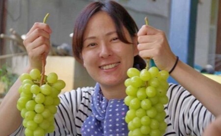 シャインマスカット 2kg 3房～5房 葡萄 フルーツ 岡山 高梁市産 ぜきお農園 ぶどうclub 2026年 先行予約