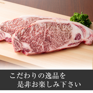 i1060-A ≪4等級以上≫鹿児島県産黒毛和牛ロースステーキ(計約400g・約200g×2枚) 黒毛和牛 和牛 牛肉 肉 ステーキ ロース サーロイン 【ナンチク】