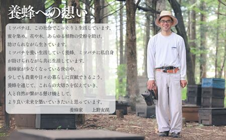 高校の養蜂部時代から養蜂一筋 天然 国産 非加熱 アカシア 130g×2本 【 長野県 富士見町産 天然100％ 完熟蜜 無添加 自然の香りとコク 上野養蜂園 自然派 健康志向 お取り寄せ 高級 贈答用 ギフト プレゼント 保存食 備蓄 ハチミツ はちみつ 】