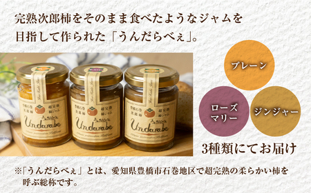 《先行予約》皇室献上品 次郎柿 三昧セット 百年柿園 ベル・ファーム 産地直送 生産者直送 農家直送 高糖度 愛知県 豊橋市 送料無料 39000円