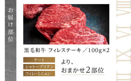 黒毛和牛 みかわ牛 フィレステーキ 2枚 牛肉