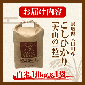 【令和8年10月以降発送新米】MS-98 大山町産こしひかり【大山の一粒】10ｋｇ（白米）