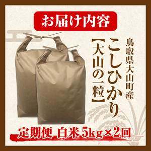 【令和8年10月以降発送新米】MS-99　頒布会（大山町産こしひかり【大山の一粒】白米5ｋｇ×2回）