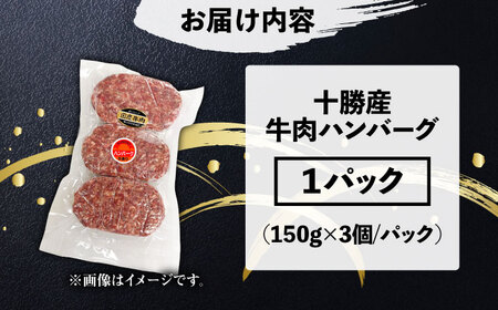 十勝産 上田の牛肉ハンバーグ 450g | 株式会社上田精肉店 [BNAM030]