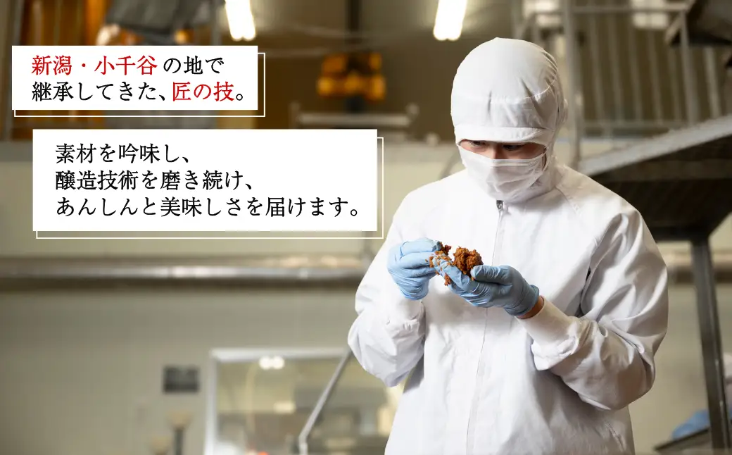 野菜がおいしくなる塩こうじ 250g×6個入 山崎醸造 | こうじ