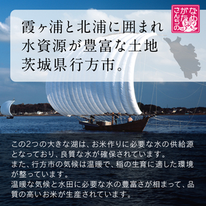 【最短翌日発送】 パックご飯 コシヒカリ 十八雑穀 160g×18食｜パックご飯 スピード 茨城県 行方市(HE-1-1)