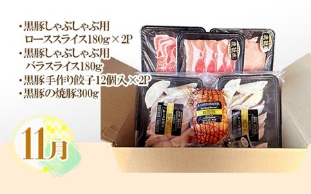 【発送月固定定期便】鹿児島県産黒豚三昧 EE0-0005 全4回_肉 しゃぶしゃぶ 牛肉 牛しゃぶ  肉  牛肉   肉 しゃぶしゃぶ 豚肉 豚しゃぶ  肉 ハンバーグ 豚肉   肉 ソーセージ・ウインナー 豚肉   肉  豚肉   惣菜・加工品 餃子  ぎょうざ ギョウザ  定期便 定期便  _【配送不可地域：離島】【4060214】