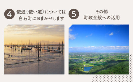 【返礼品なし】佐賀県白石町 ふるさとづくり応援寄附金（3000円分）  [IZY004]