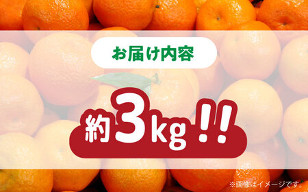 【2026年11月下旬-発送】【高糖度】訳あり 温州みかん 約3kg（傷もの）/ みかん ミカン 蜜柑 果物 フルーツ / 南島原市 / 南島原果物屋[SCV022]