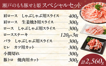 豚肉スペシャルセット約2,560g [BAER028] 豚肉