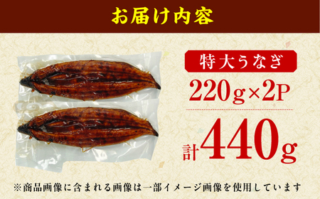 特大うなぎ蒲焼（220g×2尾） / うなぎ ウナギ 鰻 [AFBS005]