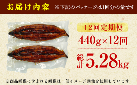 【12回定期便】特大蒲焼（220g×2尾） / 鰻 うなぎ ウナギ かば焼き 蒲焼き ウナギ うなぎ 鰻 鰻の蒲焼き うなぎ[AFBS008] うなぎ ウナギ うなぎ 鰻