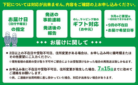 マンゴー【2026年発送先行予約】キーツマンゴー優品1kg以上