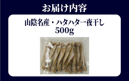 山陰名産　ハタハタ一夜干し　500ｇ