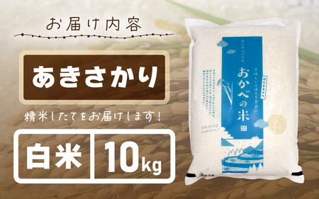【先行予約】令和8年産 愛情たっぷり健やかに育った ピカピカ もちもち あきさかり（白米）10kg【2026年10月上旬以降順次発送予定】お米 あきさかり  [m29-b001] 