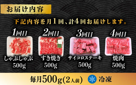 【4回定期便】 飛騨牛 プレミアム 定期便 2人前 ( しゃぶしゃぶ × すき焼き × サイコロステーキ × 焼肉 ) 各500g[TAZ046]牛