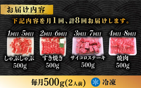 【8回定期便】  飛騨牛 プレミアム 定期便 2人前 ( しゃぶしゃぶ × すき焼き × サイコロステーキ × 焼肉 ) 各500g[TAZ047]牛肉