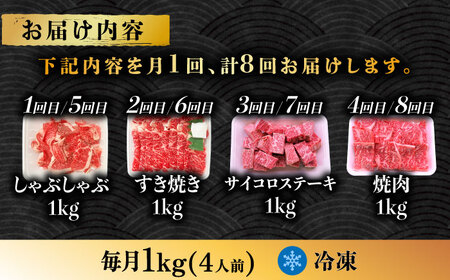 【8回定期便】 飛騨牛 プレミアム 定期便 4人前 ( しゃぶしゃぶ × すき焼き × サイコロステーキ × 焼肉 ) 各1kg [TAZ049]すき焼き