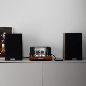 アンプ SOUND WARRIOR USB DAC 内蔵 真空管プリメインアンプ＆スピーカー セット